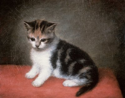 Miss Ann Whites Kätzchen, 1790 von George Stubbs